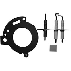 Bosch Jeu d'électrodes 87181070870