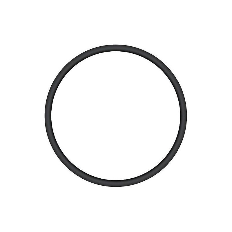 Durlem anneau o pour filtre à  eau de pluie 730940