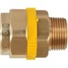 PAKTERMO PLT GAZ MANCHON FILETE DN20-3/4'M P26F102