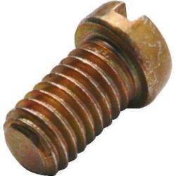 Vaillant vis thermo 010003