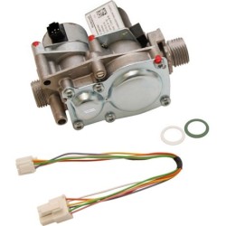 Bulex mécanisme gaz G20 Thematek + Themaclassic S1071400